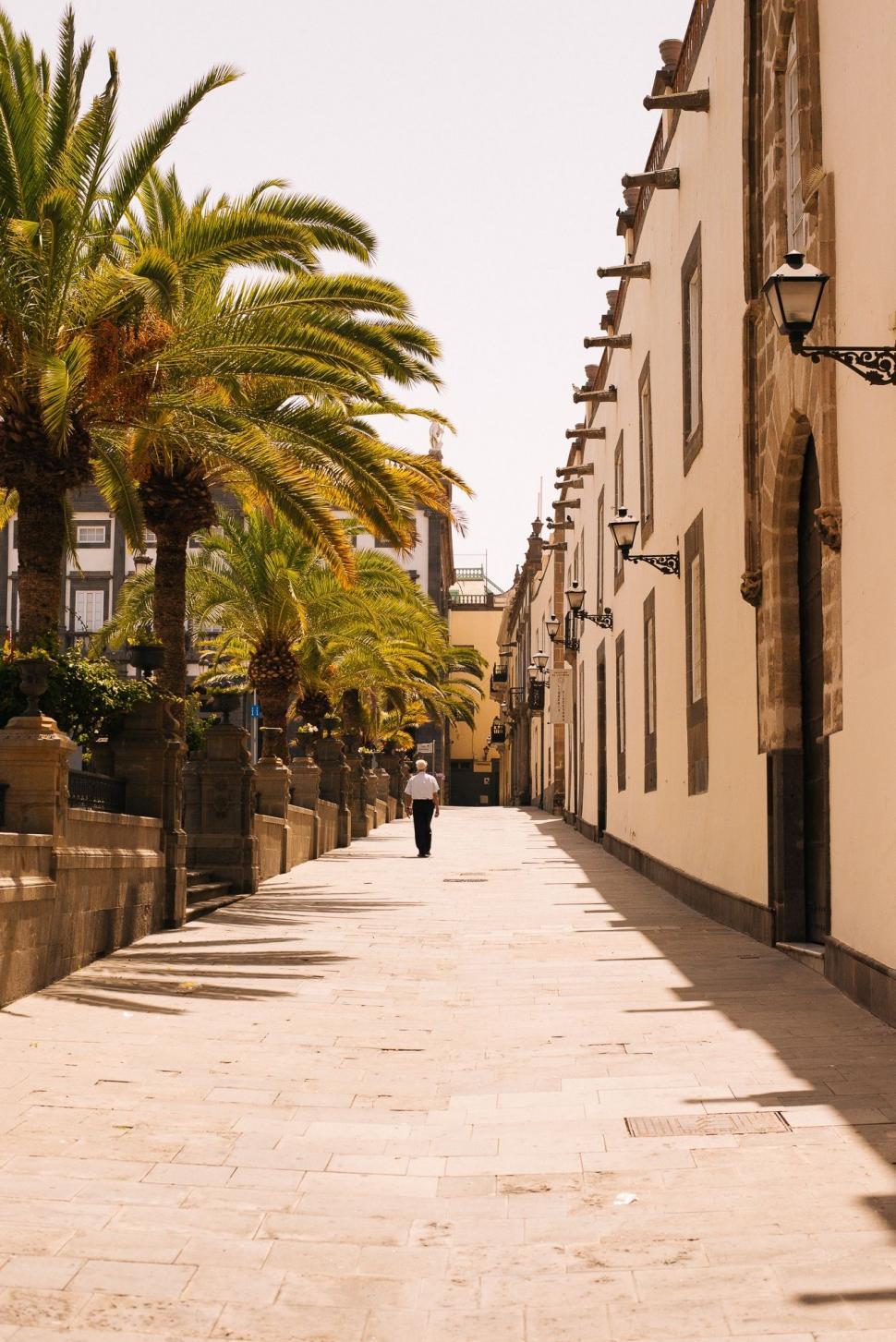 Free Image of Man Walking Down Street Next to Tall Buildings 