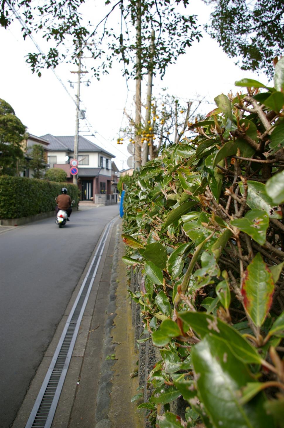 Free Image of Scooter 