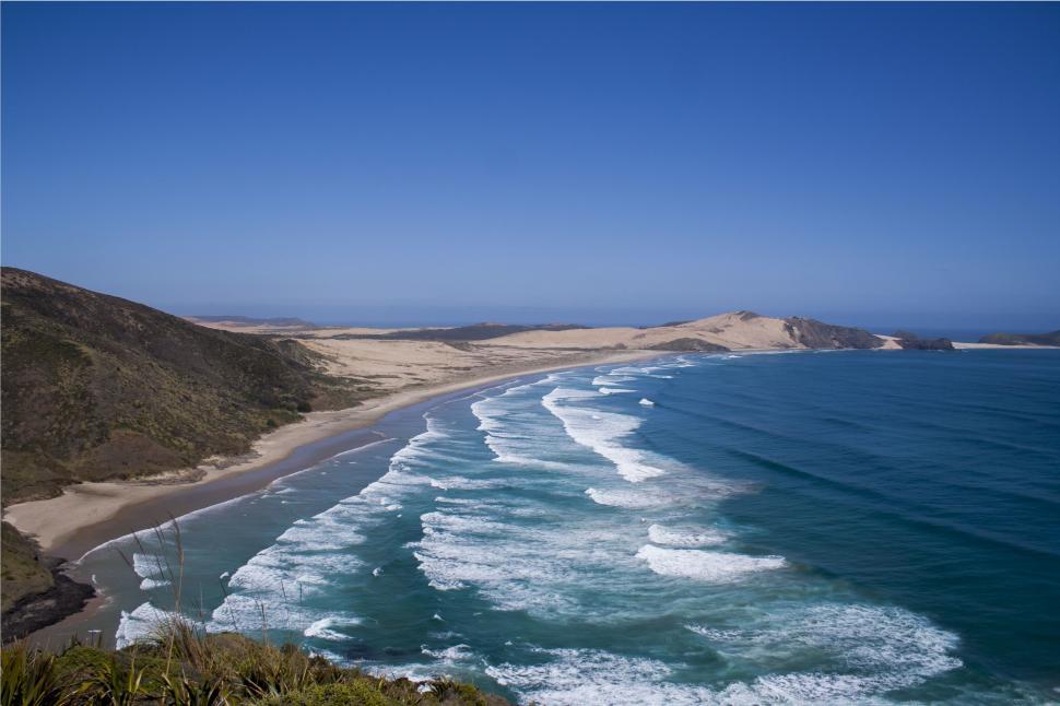 Free Image of Overlooking a Beach From a Hill 