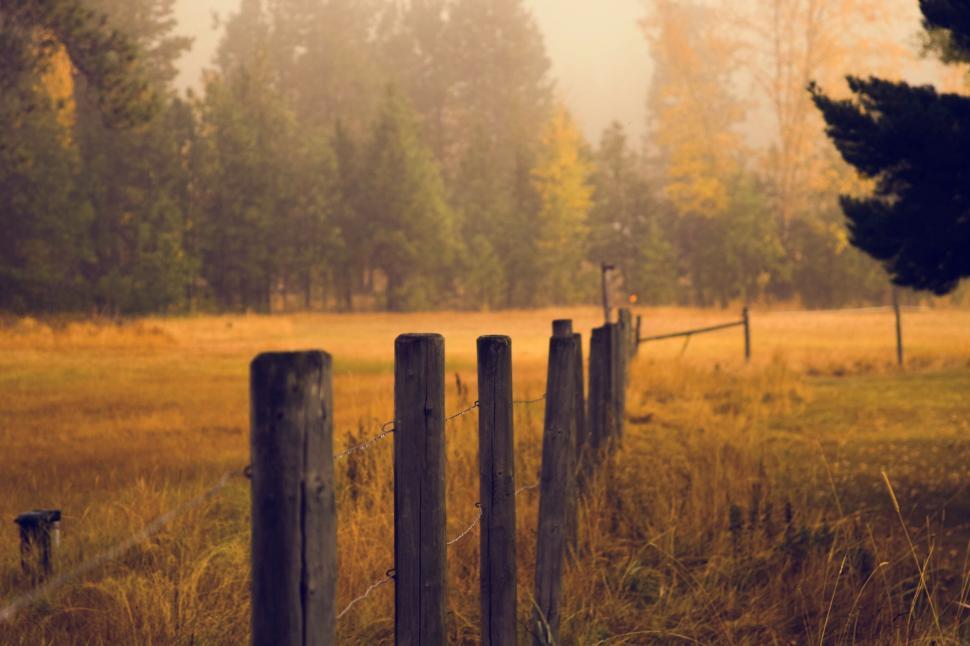 Free Image of Field With Fence and Dog in Distance 