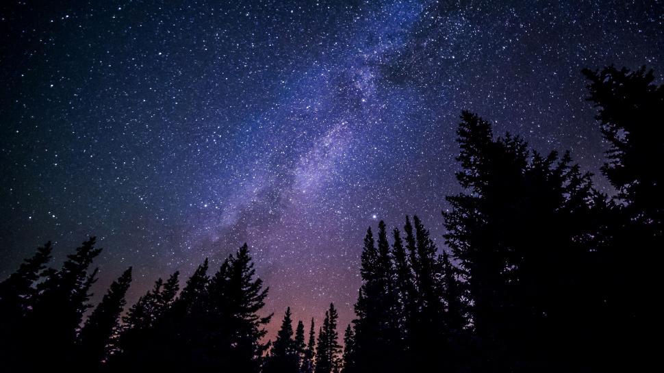 Free Image of Starry Night Sky With Trees 