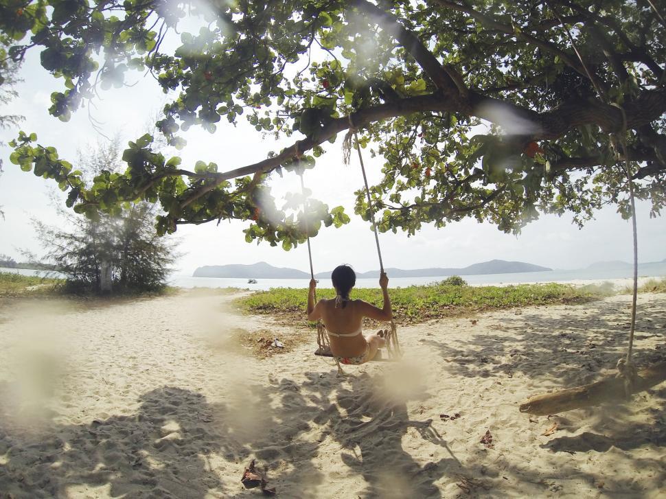 Free Image of Person Sitting on Swing Under Tree 