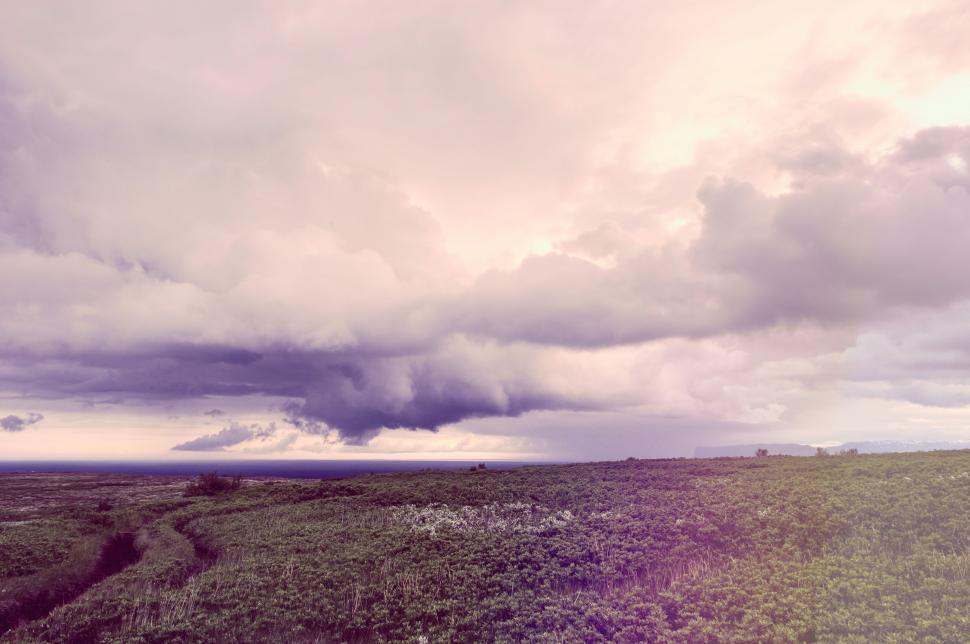 Free Image of Dirt Road Cutting Through Lush Green Field Under Cloudy Sky 