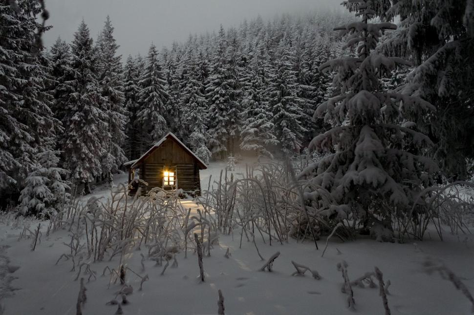 Free Image of Snowy Forest Cabin 