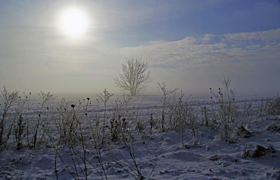 Free Image of Bright Sun Shines on Snowy Field 
