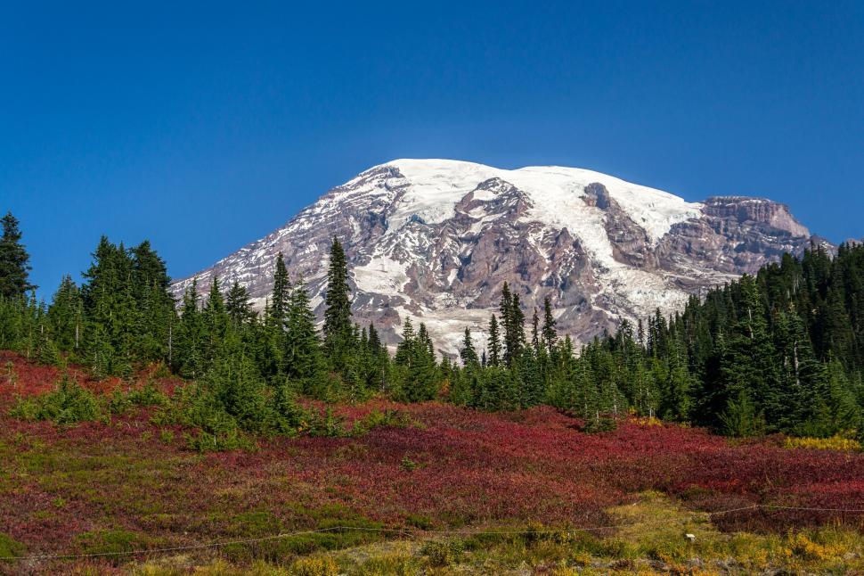 Free Image of Snow Covered Mountain Surrounded by Trees and Grass 