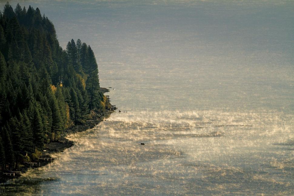 Free Image of Trees Surrounding Large Body of Water 