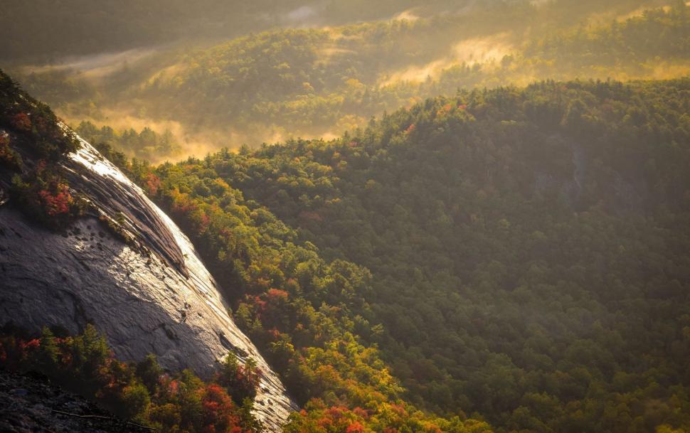 Free Image of Waterfall Cascading in Dense Forest Environment 
