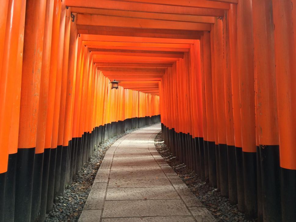 Free Image of Long Line of Orange and Black Poles 