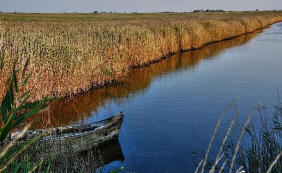 Free Image of Boat Resting on Shoreline of Lake 