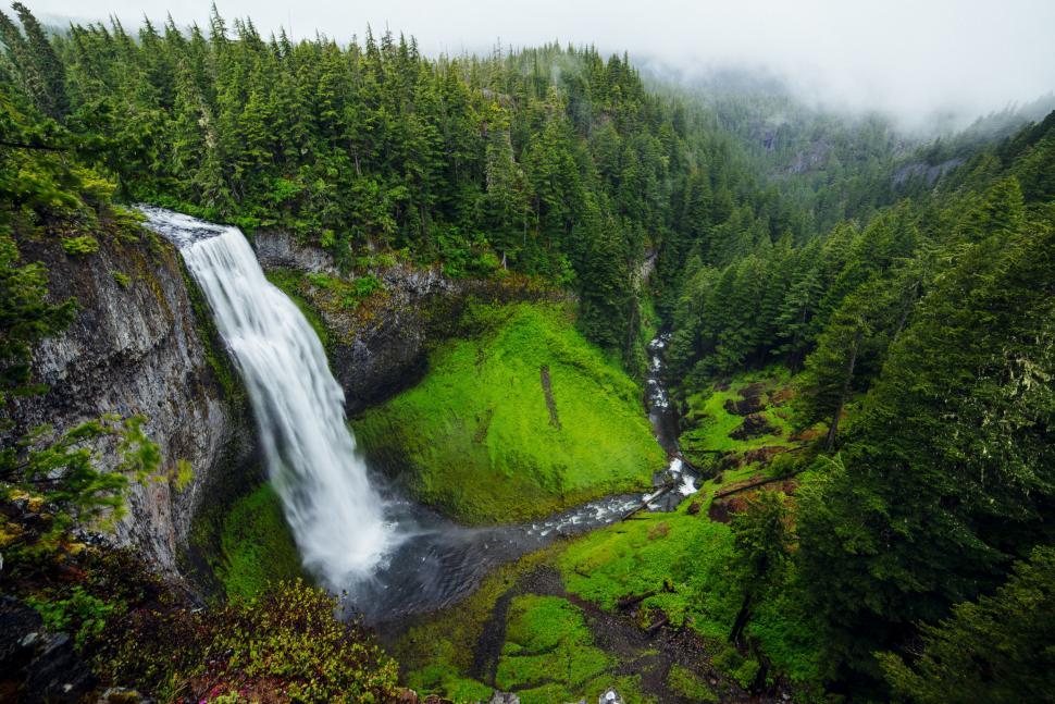 Free Image of Waterfall in the Heart of a Forest 