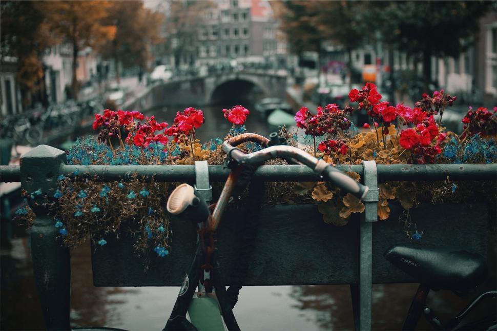 Free Image of Bike Parked Next to Fence With Flowers 