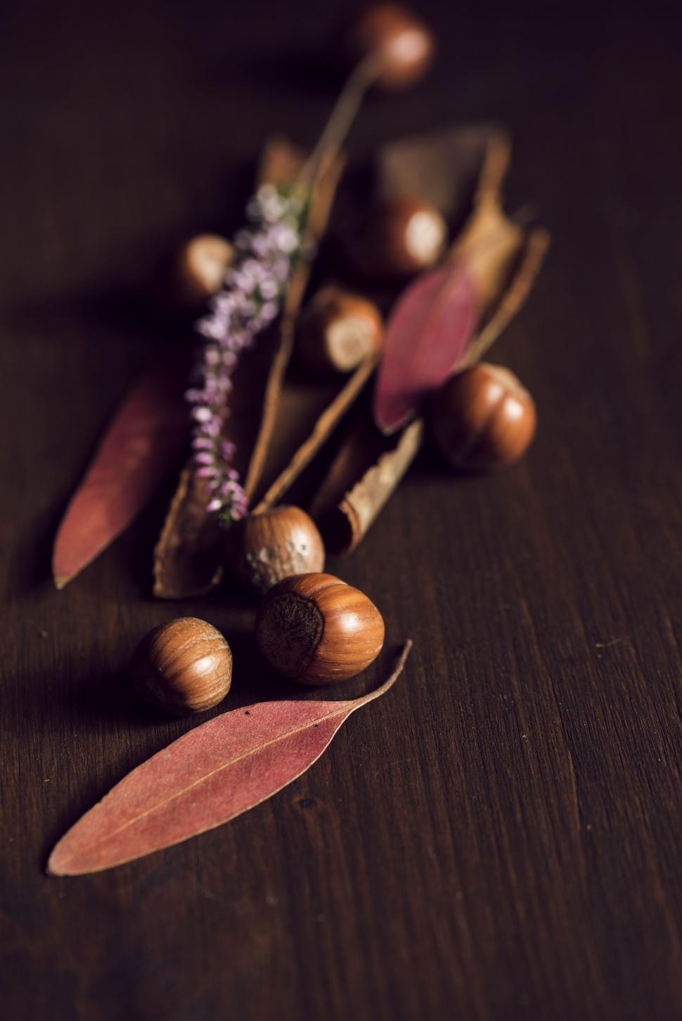 Free Image of Wooden Spoons Arranged on Table 