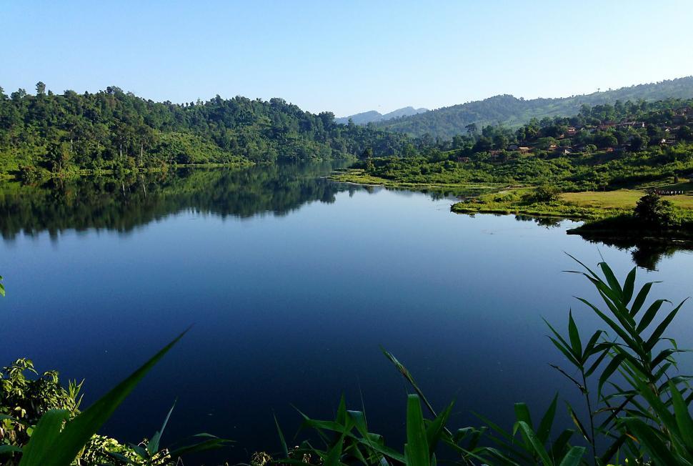 Free Image of The Lake Surrounded by Lush Green Trees 