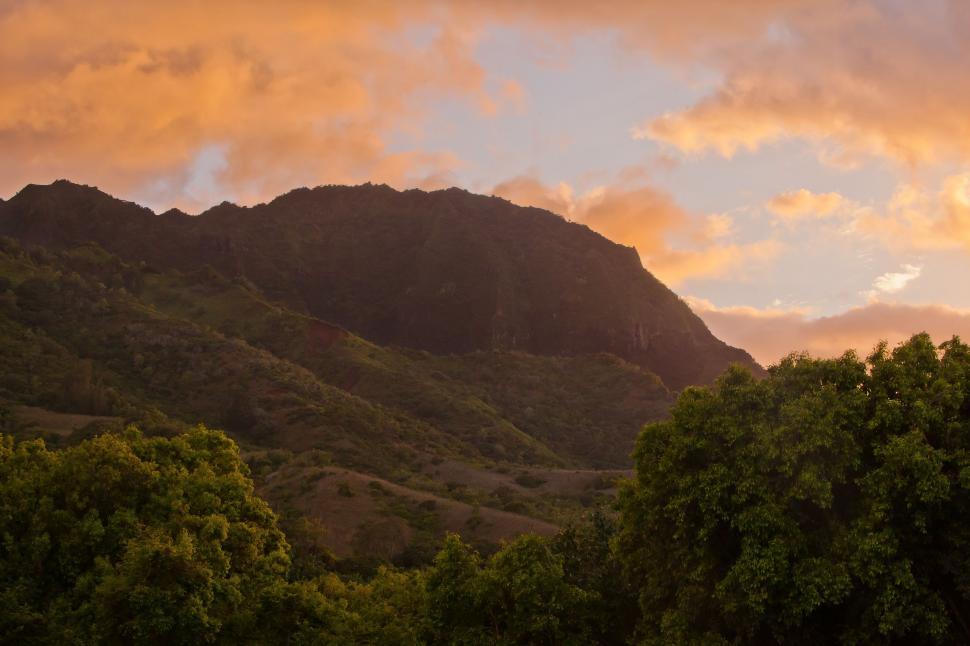 Free Image of Mountain View With Trees in Foreground 