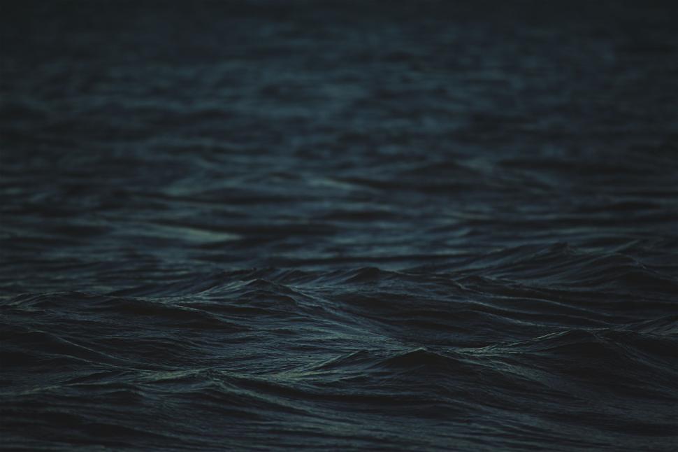Free Image of Bird Flying Over Body of Water 