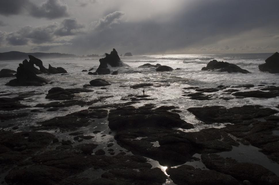Free Image of Rocky Beach Scene in Black and White 