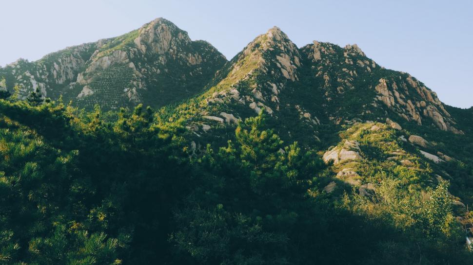 Free Image of Bird Perched on Mountain Range 