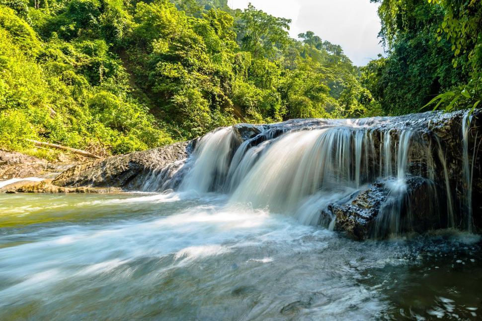 Free Image of Small Waterfall Flows Through Forest 