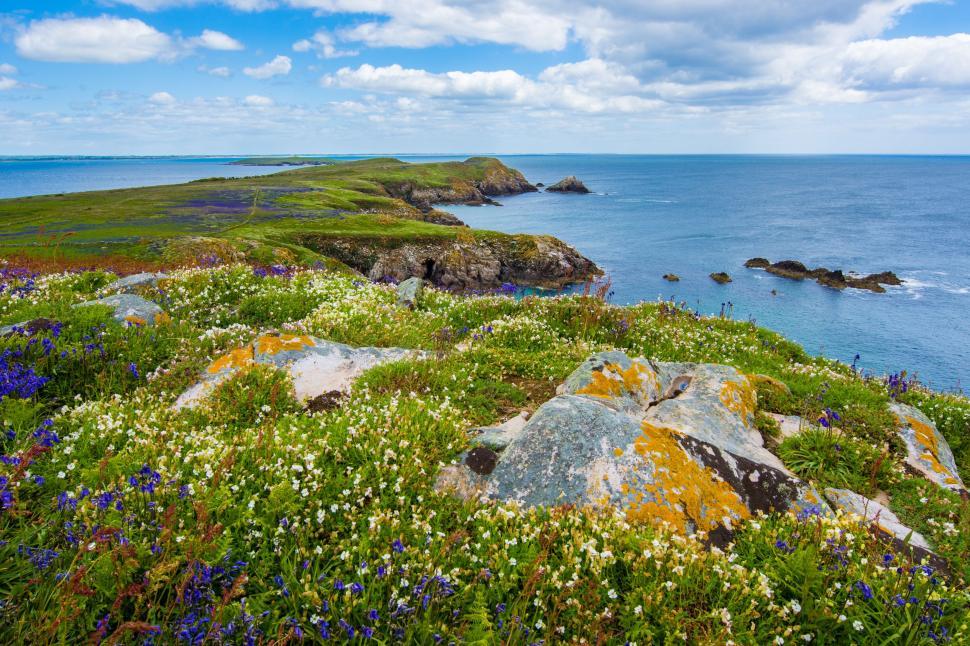 Free Image of Overlooking the Ocean From a Grassy Hill 