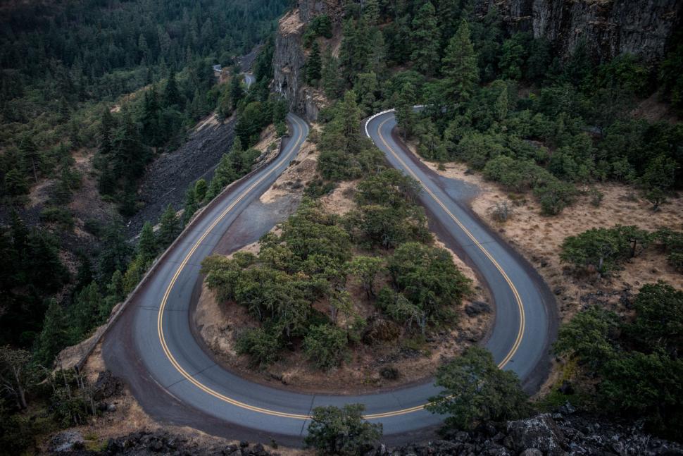 Free Image of Winding Road in Forest 