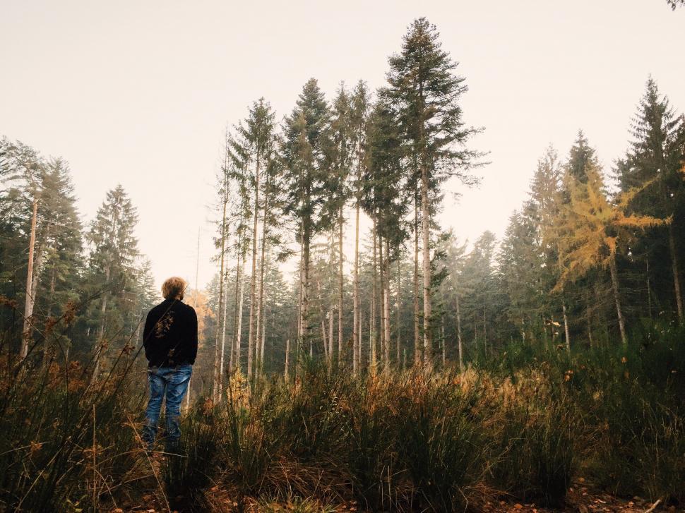 Free Image of Man Standing in the Middle of Forest 