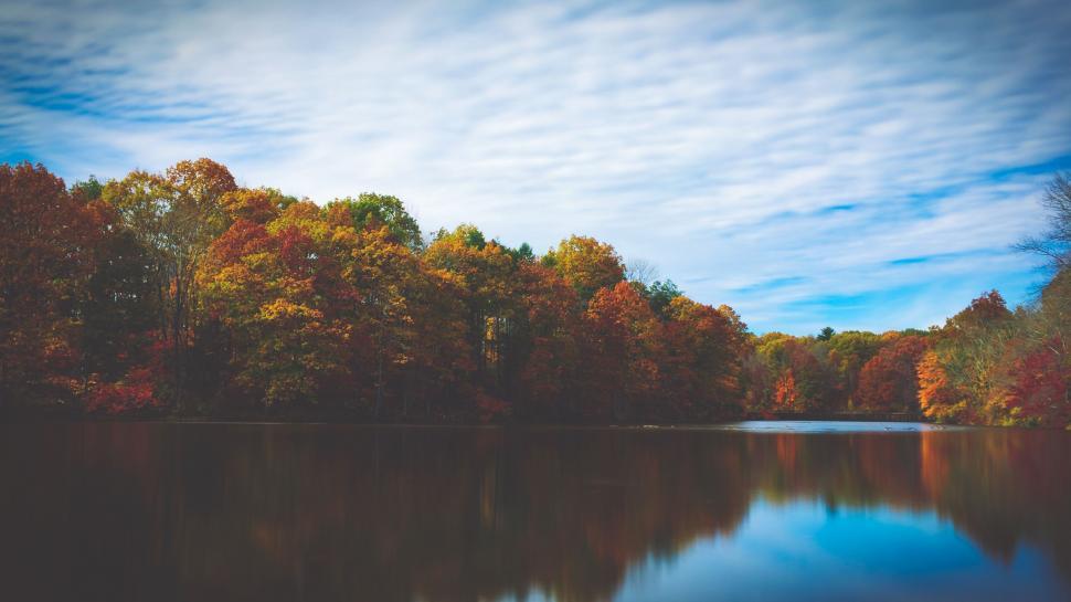 Free Image of A Painting of a Lake Surrounded by Trees 