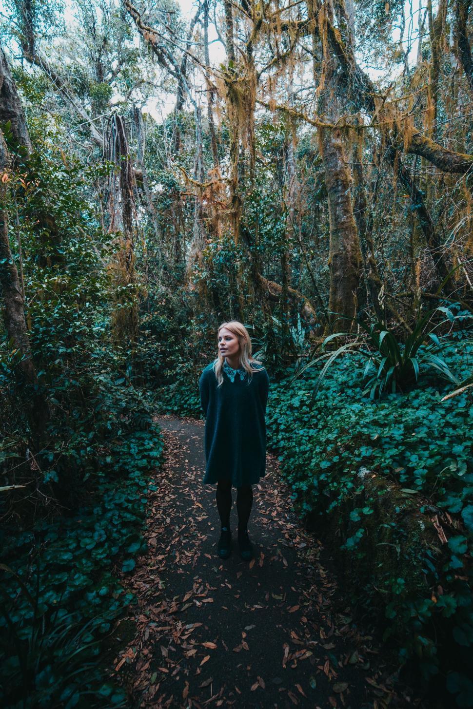 Free Image of Woman Standing in the Middle of a Forest 