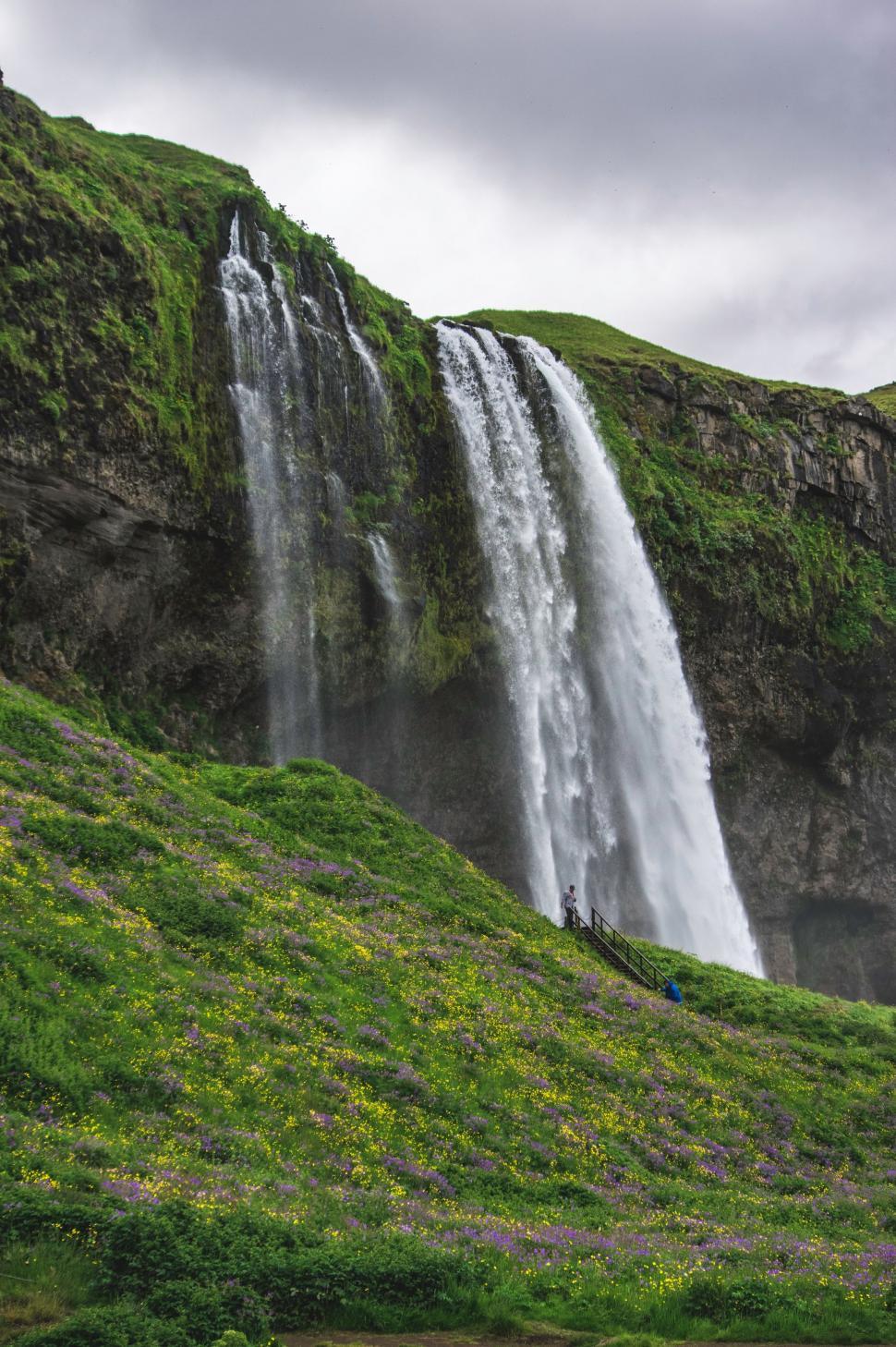 Free Image of Man Standing on Lush Green Hillside Next to Waterfall 
