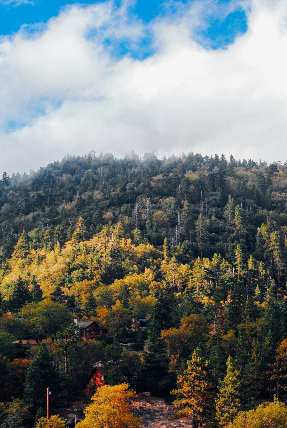 Free Image of Mountain Covered in Trees Under Cloudy Blue Sky 