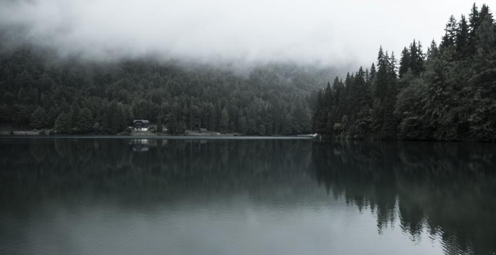Free Image of Lake Surrounded by Trees in Black and White 