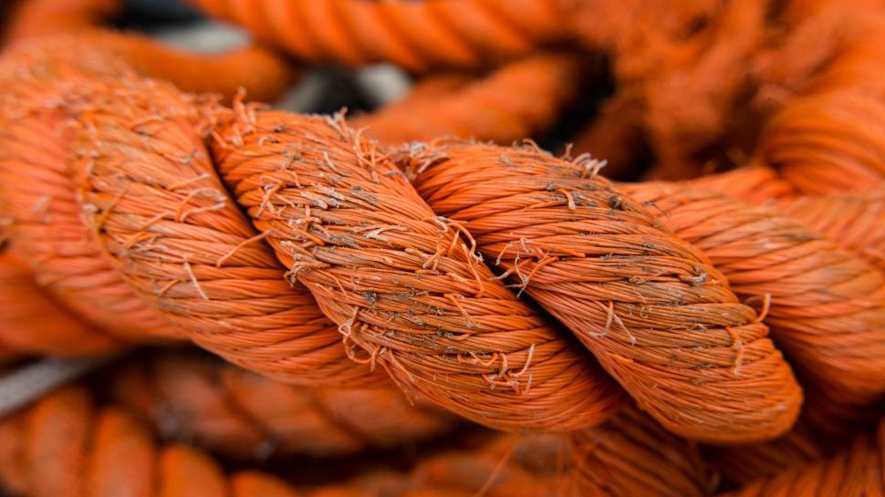 Free Image of Close Up of an Orange Rope 