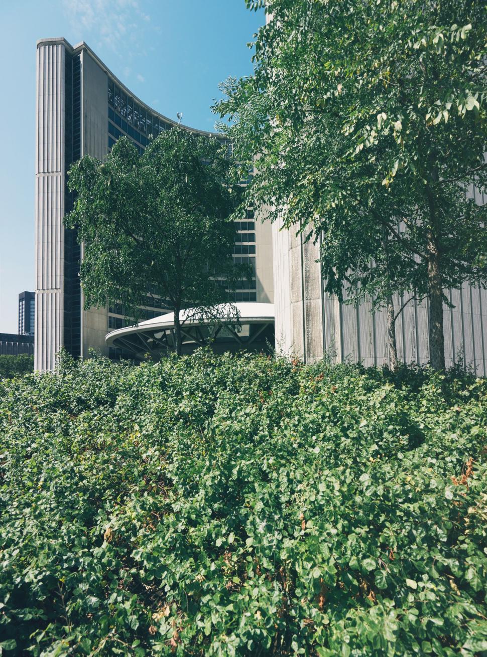 Free Image of Tall Building Next to Lush Green Forest 