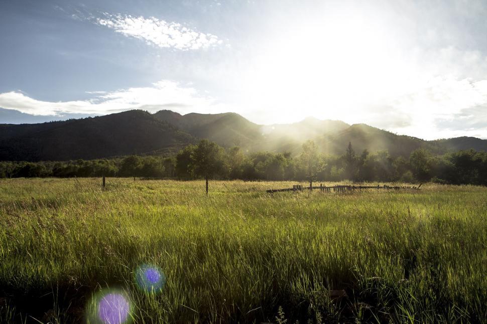 Free Image of Grassy Field With Mountains in the Background 