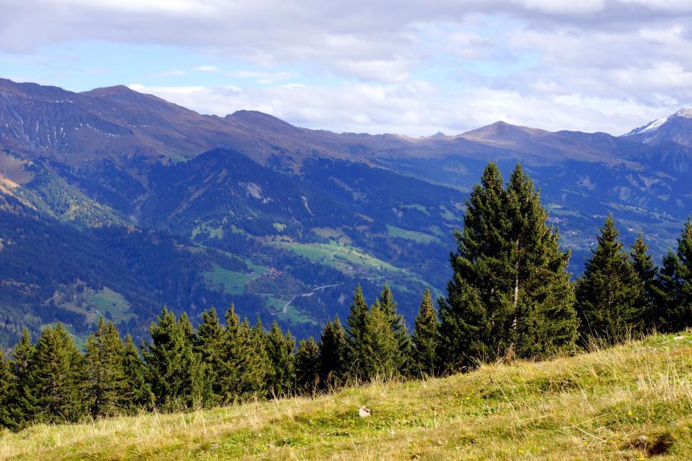 Free Image of Grassy Field With Mountain Range in Background 