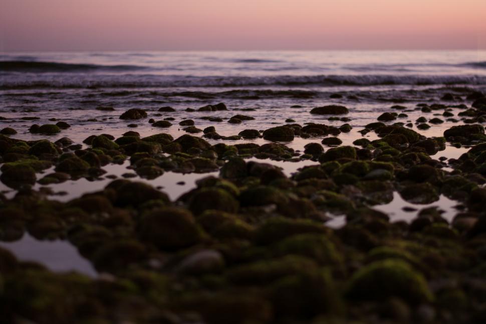Free Image of Beach With Rocks and Water 