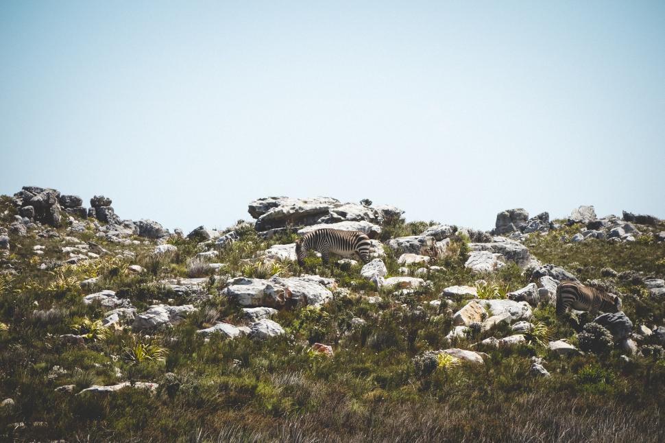Free Image of Rocky Hillside With Grass and Rocks Under a Blue Sky 