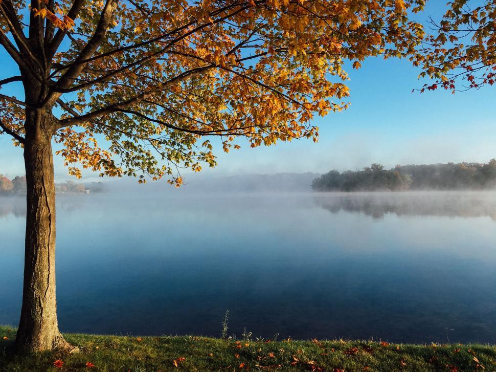 Free Image of Majestic Lake Surrounded by Trees 