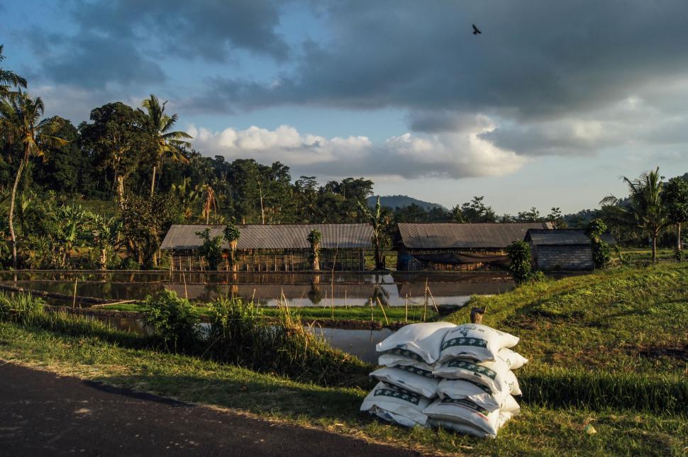Free Image of Pile of Bags Alongside Road 