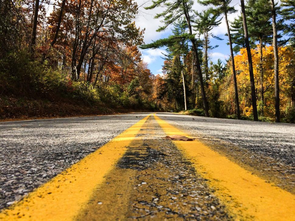 Free Image of Yellow Line on Road Surrounded by Trees 