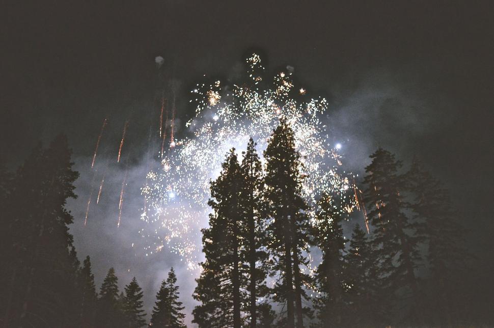 Free Image of Explosive Black and White Fireworks Display in the Sky 