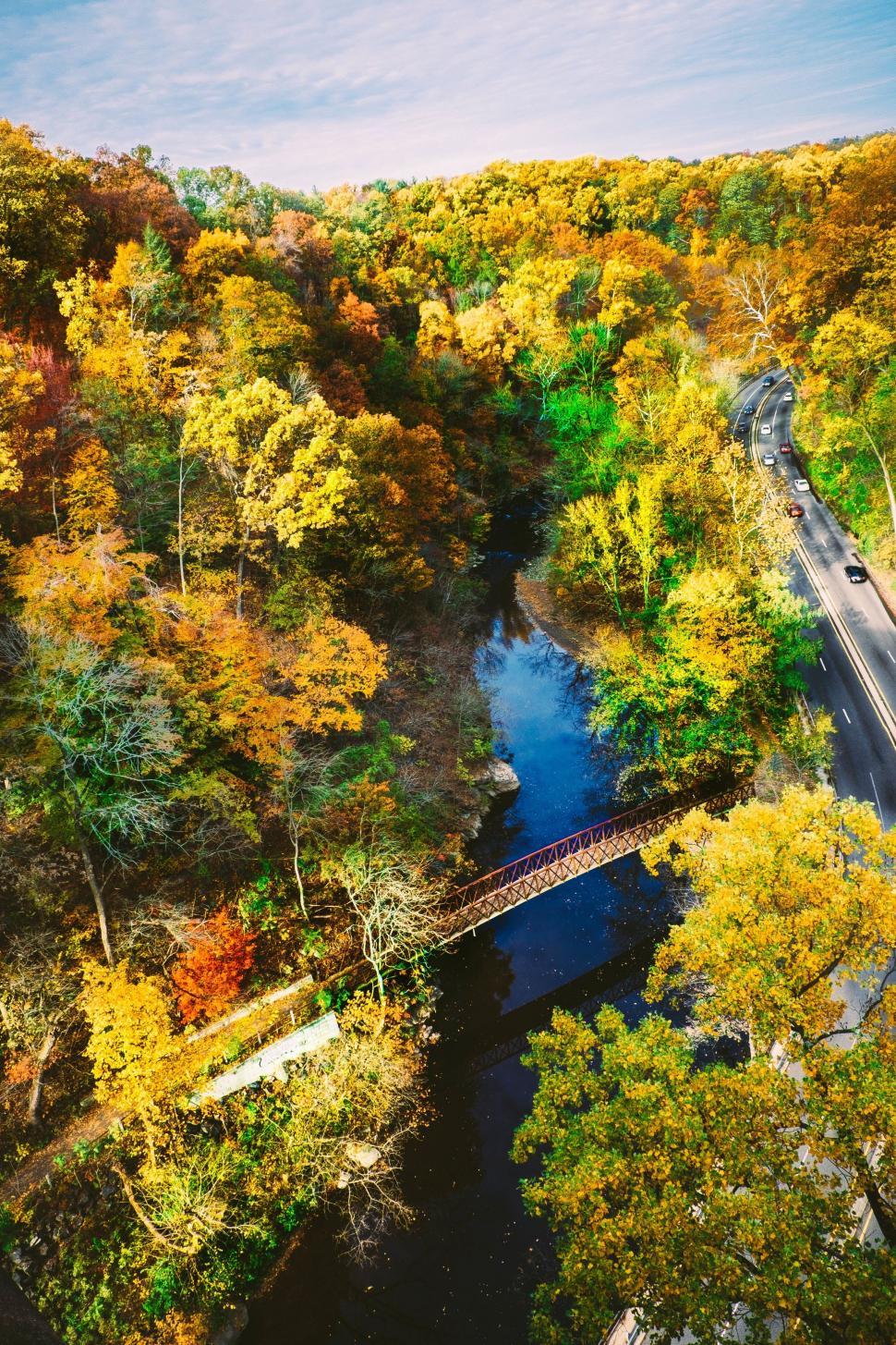 Free Image of River Flowing Through Lush Green Forest 