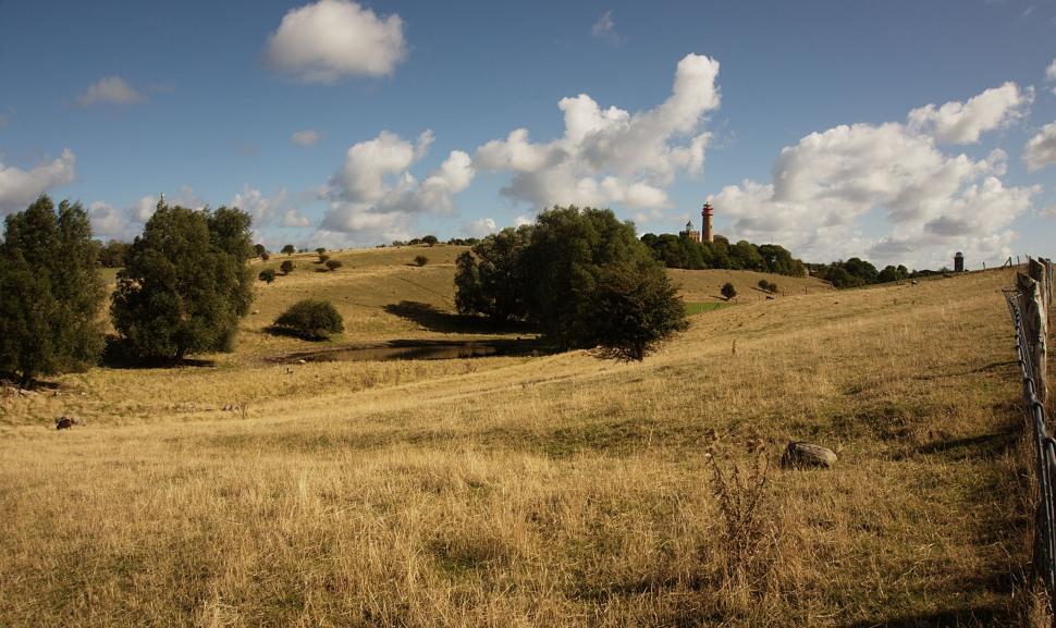Free Image of Field With Trees and Fence 