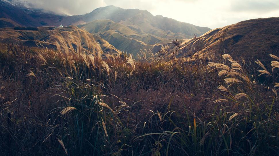 Free Image of Grassy Field With Mountains in Background 