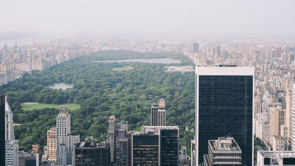 Free Image of City View From Tall Building 