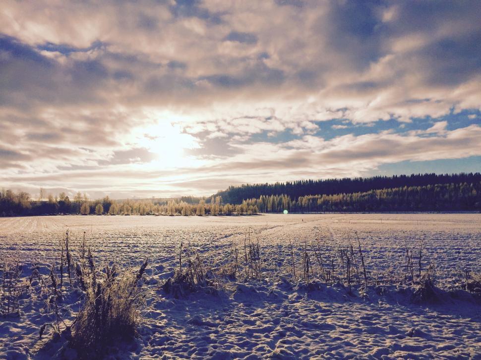 Free Image of Snow Covered Field With Trees in Background 