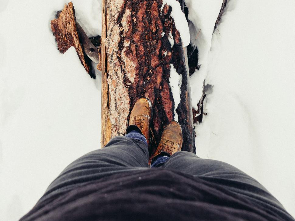 Free Image of Person Standing Next to Tree in Snow 