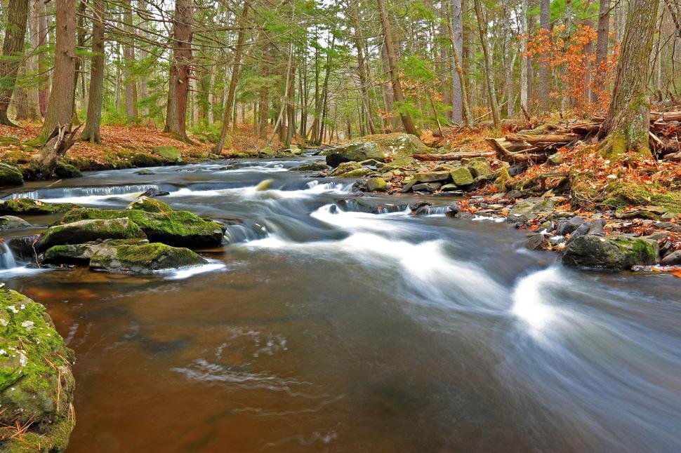 Free Image of Cascades and Rapids  