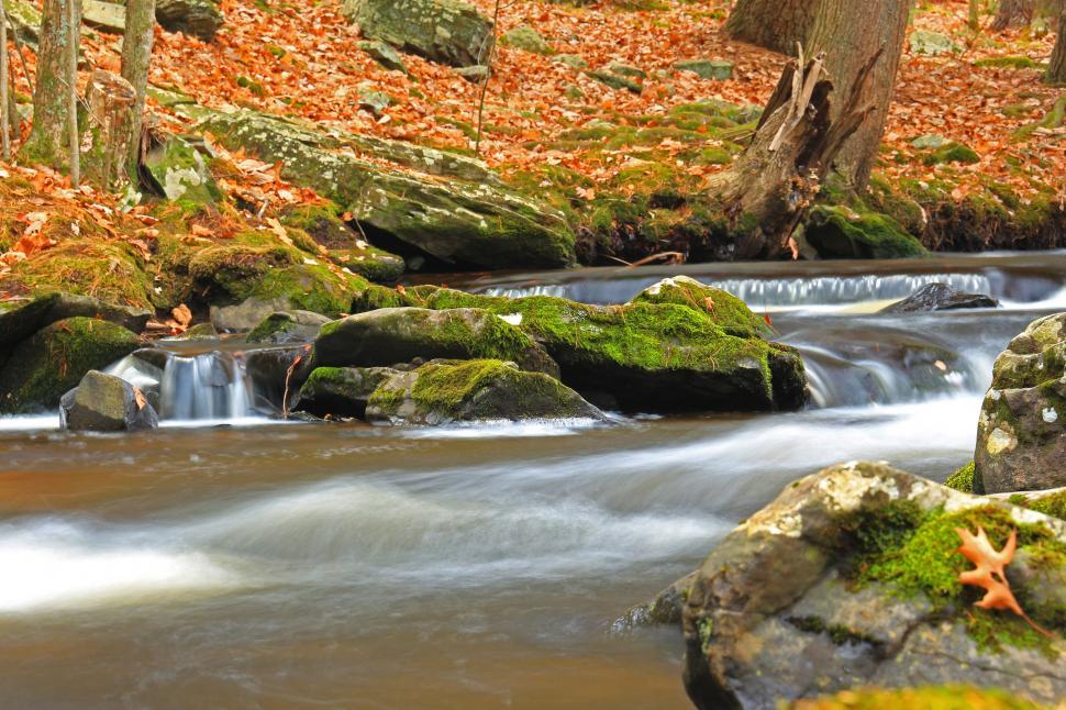 Free Image of Running water around moss covered rocks 