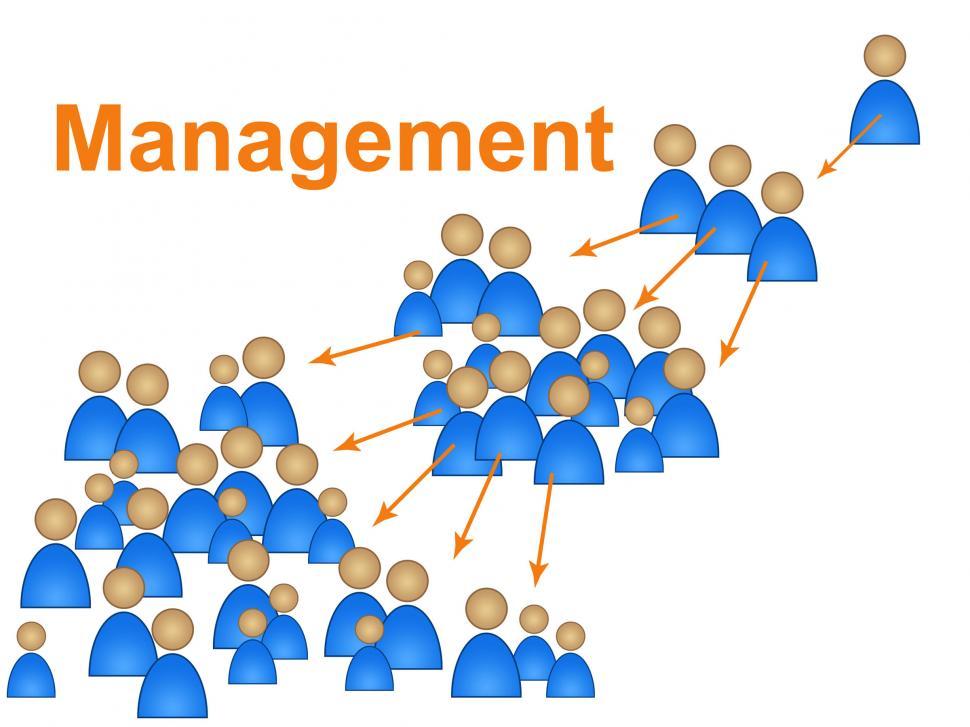 Free Image of Manager Management Indicates Authority Organization And Director 
